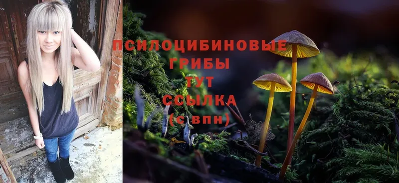 Псилоцибиновые грибы MAGIC MUSHROOMS  Уссурийск 